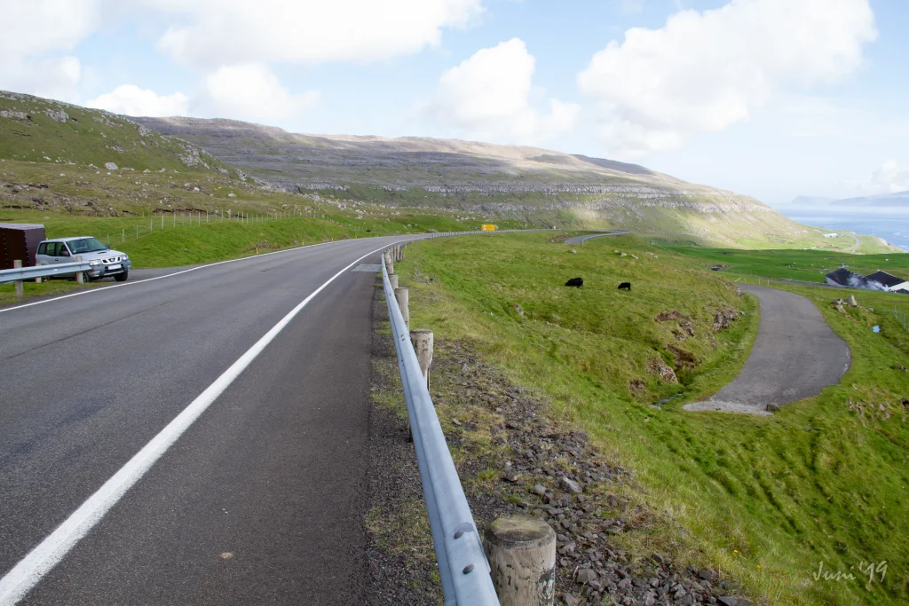 parkering-velbasta-ur-2019-06-20-t-rshavn---velbasta-ur-og-reynsm-li-019-img-0043-jpg