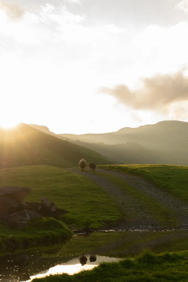 Frammistovugarður